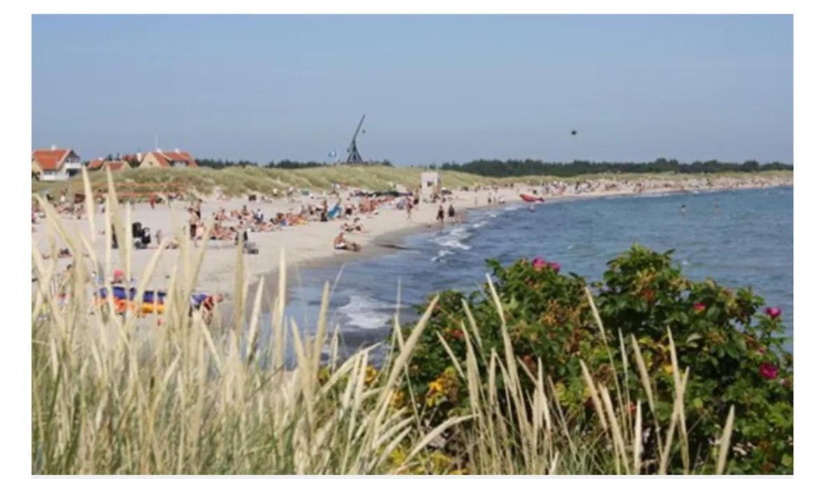 Skon Villalejlighed I Skagen Med Terrasse Og Taet Pa Centrum Exteriör bild